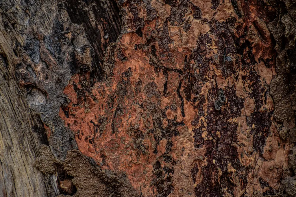 اندرونی قوت کے لیے قدیم ہتھا یوگا — ہتھا آسن، طاقت کے پوزز، مراقبے کی توجہ، توانائی کا بہاؤ، توازن، سانس پر کام کے بارے میں اہم معلومات